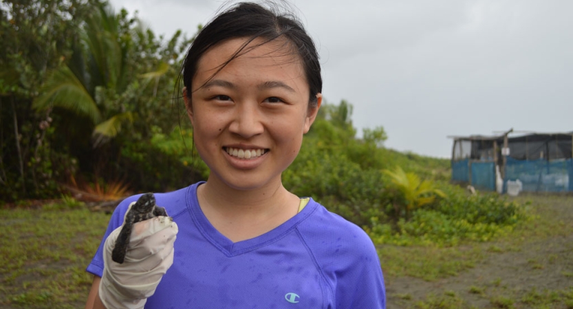 A person wearing gloves hold a baby sea turtle during a service project.